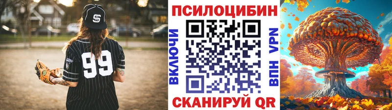Галлюциногенные грибы Psilocybe купить наркоту ссылка на мегу ссылка Заполярный